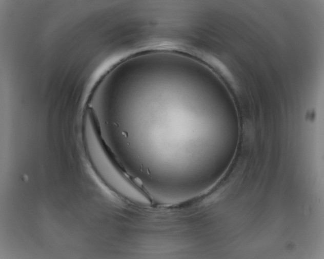 X0000093261424200709261722
