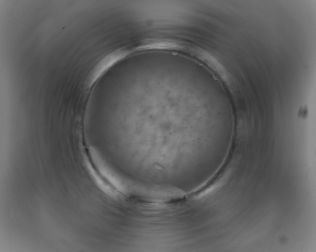 X0000093261425200709261722