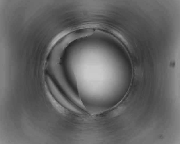 X0000093261426200709261722