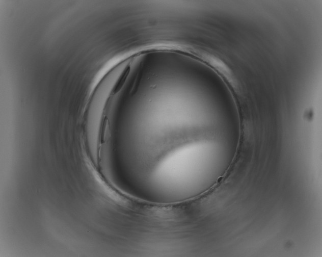 X0000093261428200709261722