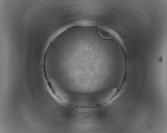 X0000093261429200709261722