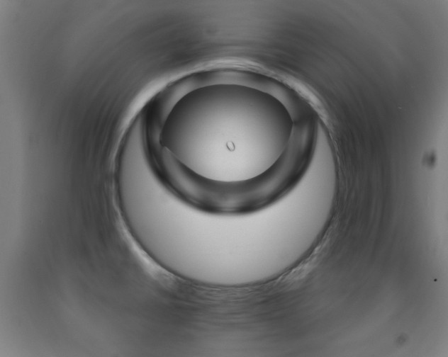 X0000093261430200709261722