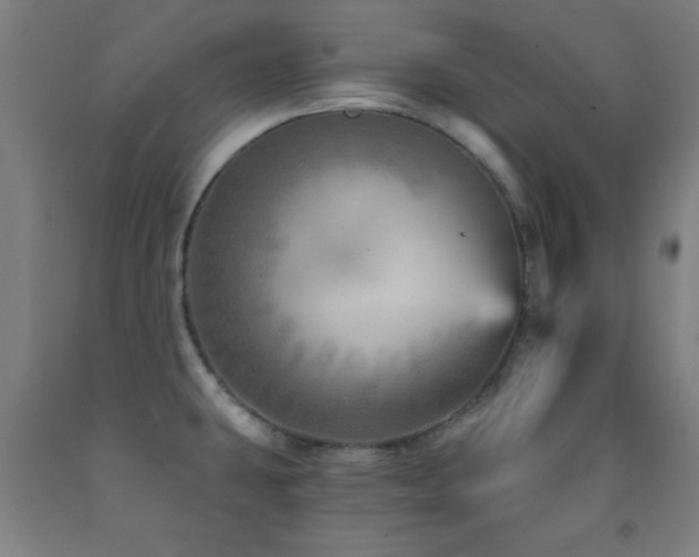 X0000093261431200709261722