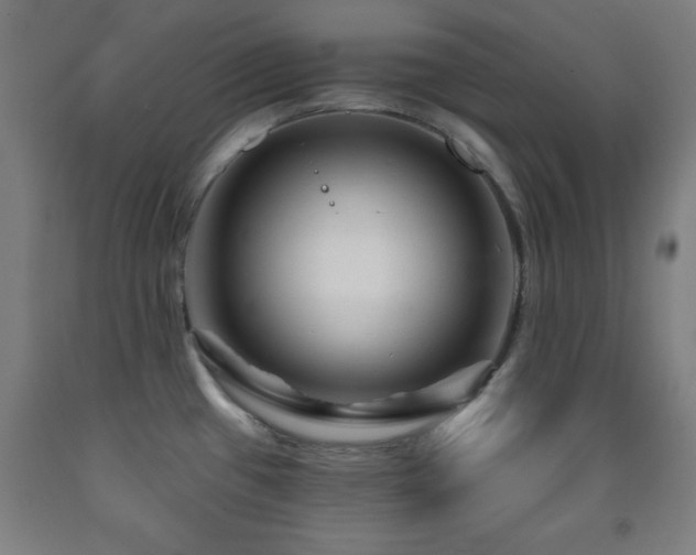 X0000093261433200709261722