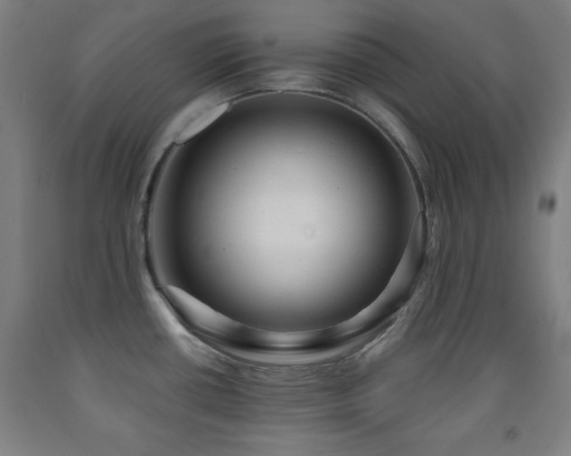 X0000093261434200709261722