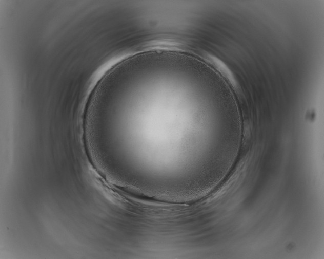 X0000093261435200709261722