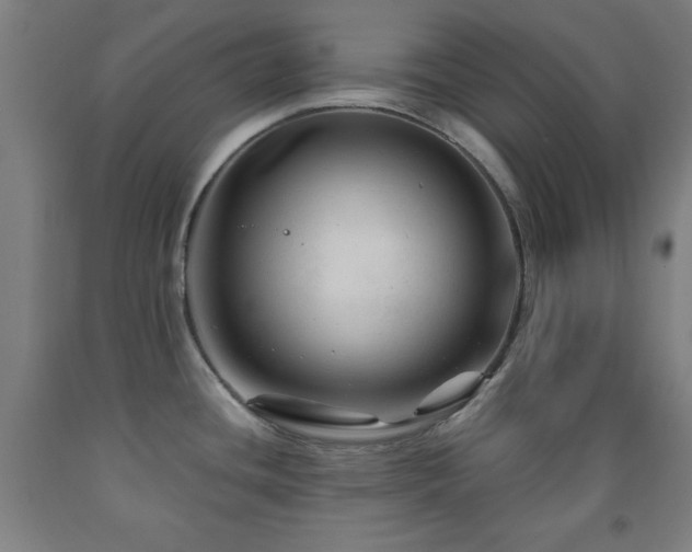 X0000093261436200709261722