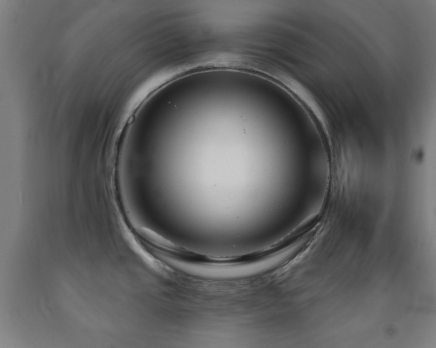 X0000093261437200709261722