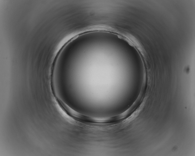X0000093261438200709261722