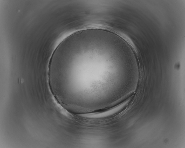 X0000093261439200709261722