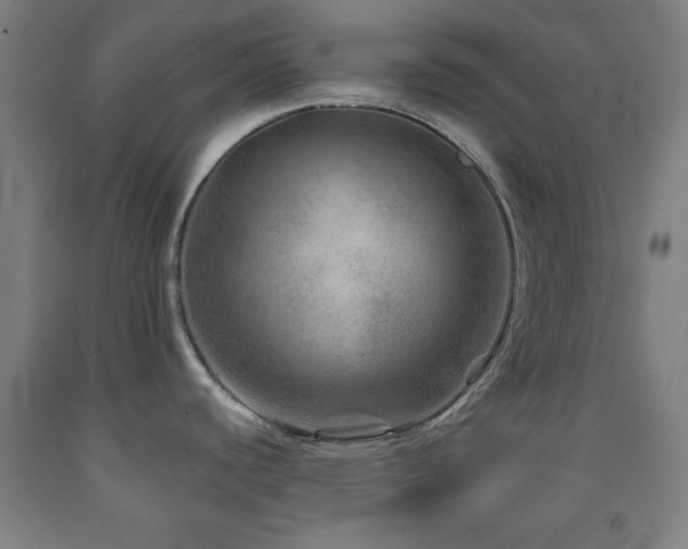 X0000093261440200709261722