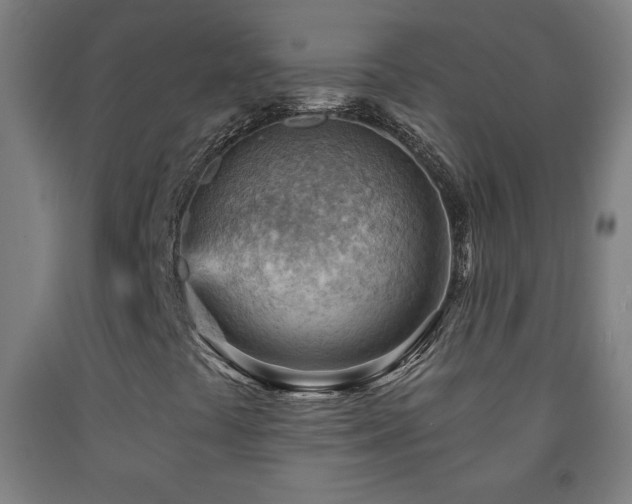X0000093261441200709261721