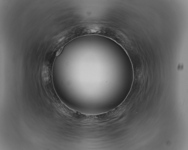 X0000093261442200709261721