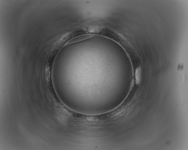 X0000093261443200709261721