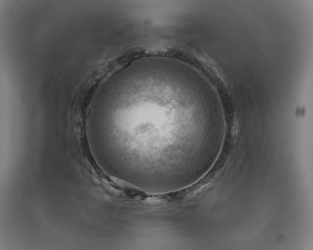 X0000093261445200709261721