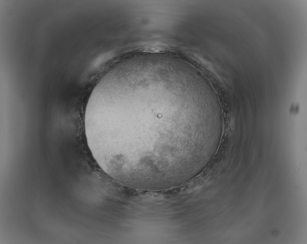 X0000093261446200709261721