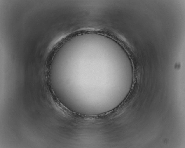 X0000093261448200709261721