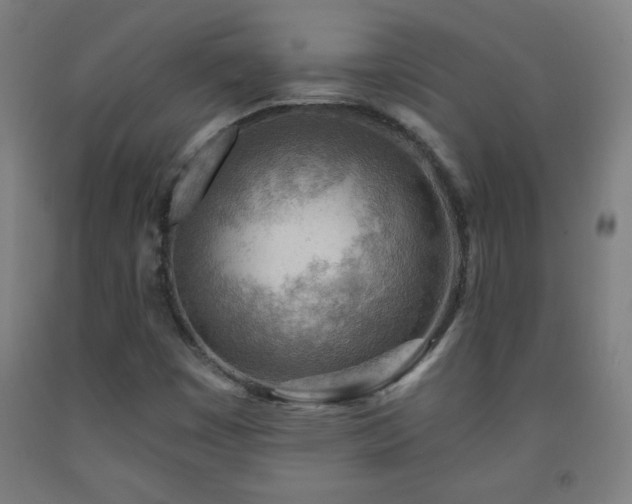 X0000093261449200709261721