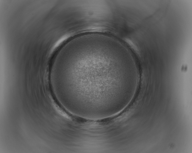 X0000093261450200709261721