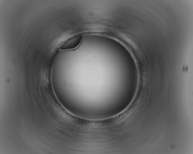 X0000093261451200709261721