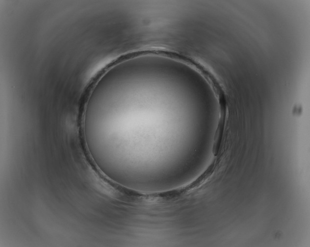 X0000093261452200709261721