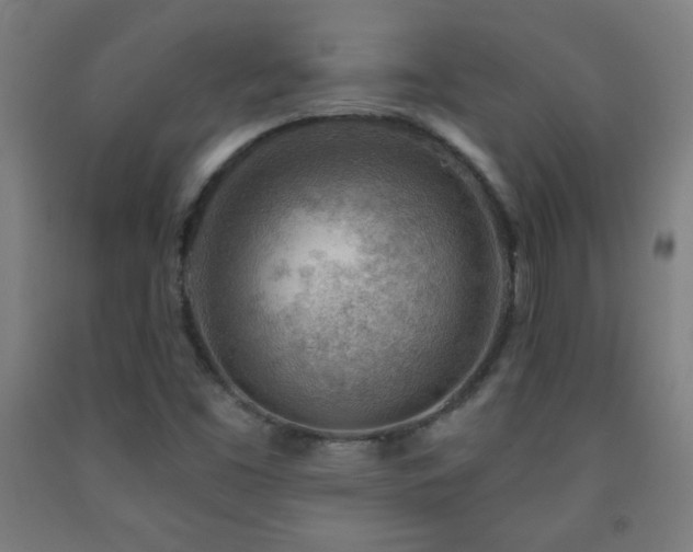 X0000093261453200709261721