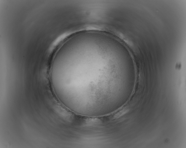 X0000093261454200709261721