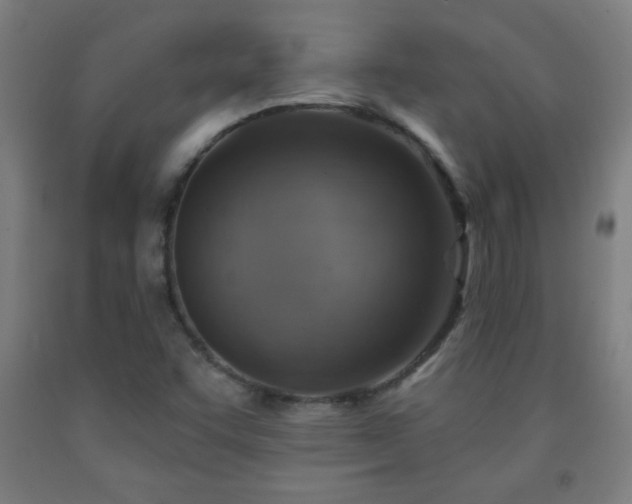 X0000093261455200709261721
