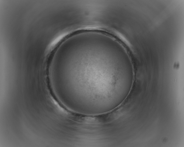 X0000093261456200709261721