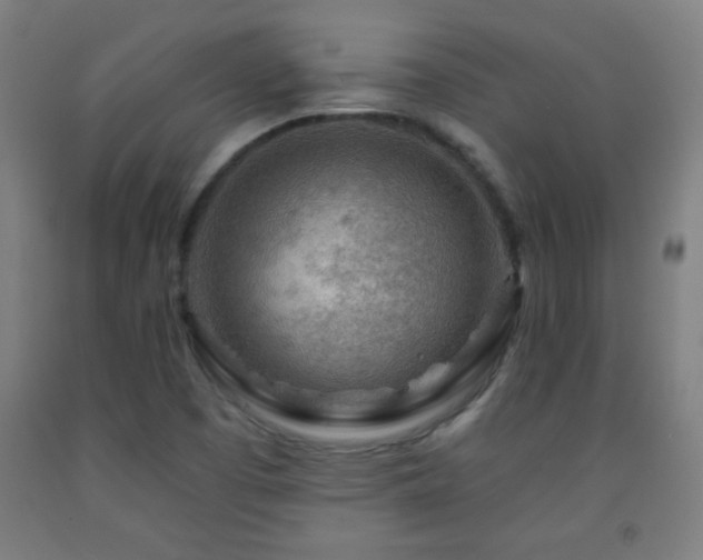 X0000093261457200709261721