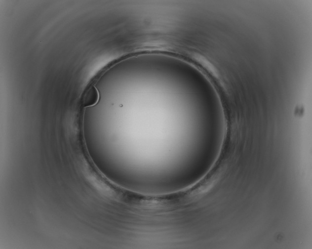 X0000093261458200709261721