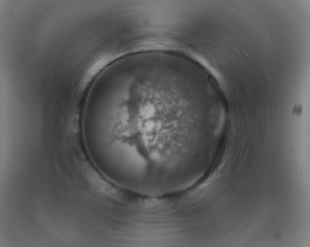 X0000093261459200709261721