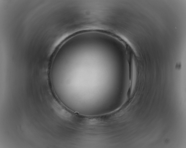 X0000093261460200709261721