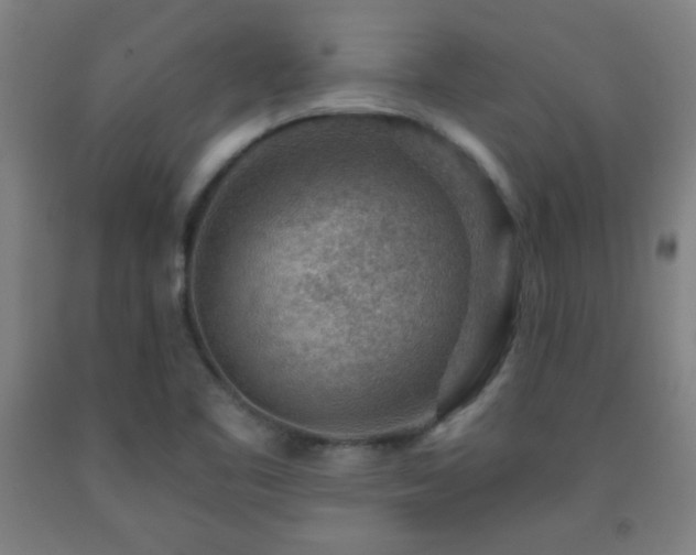 X0000093261461200709261721