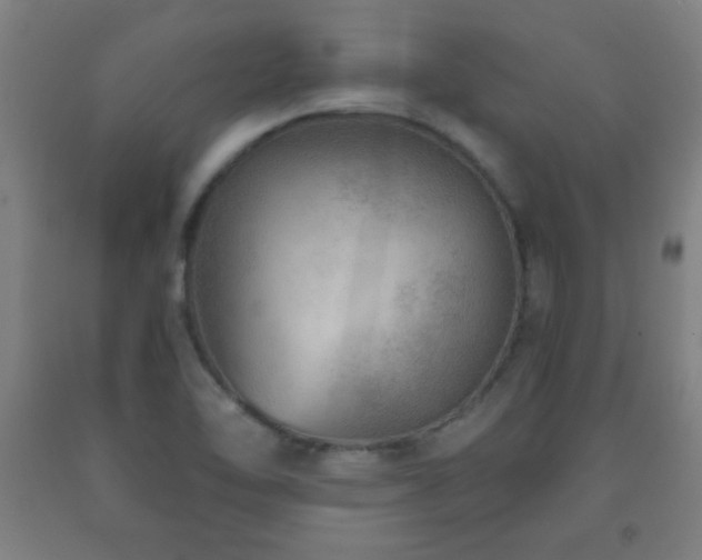 X0000093261462200709261721