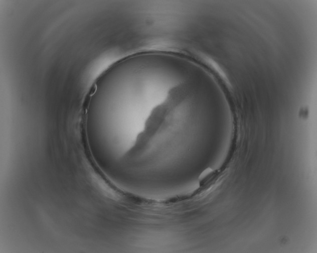 X0000093261463200709261721