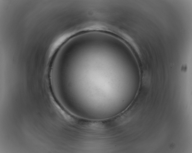 X0000093261464200709261721