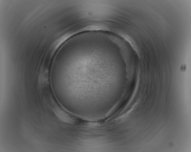 X0000093261465200709261721