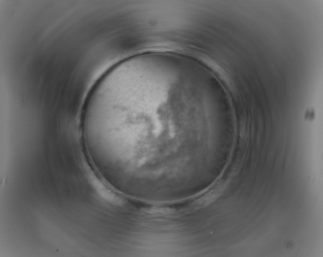 X0000093261466200709261721
