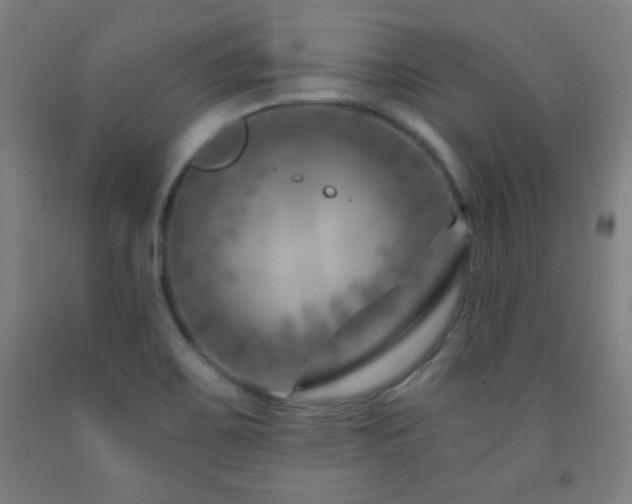 X0000093261467200709261721