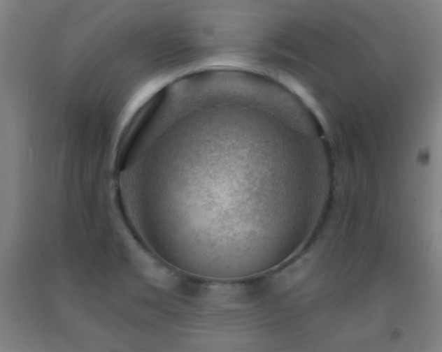 X0000093261469200709261721