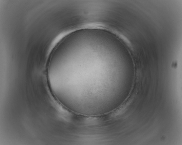 X0000093261470200709261721