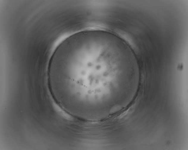 X0000093261471200709261721