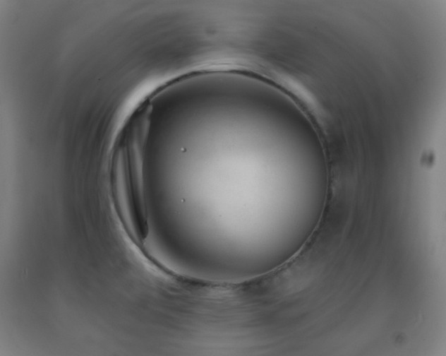 X0000093261472200709261721