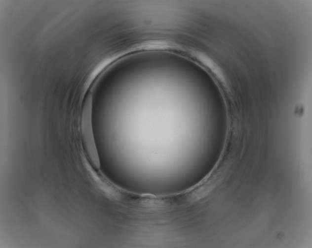 X0000093261473200709261721