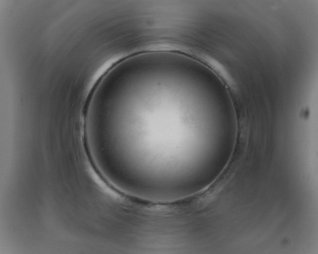 X0000093261476200709261721