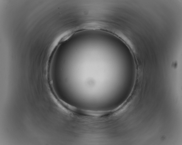 X0000093261477200709261721