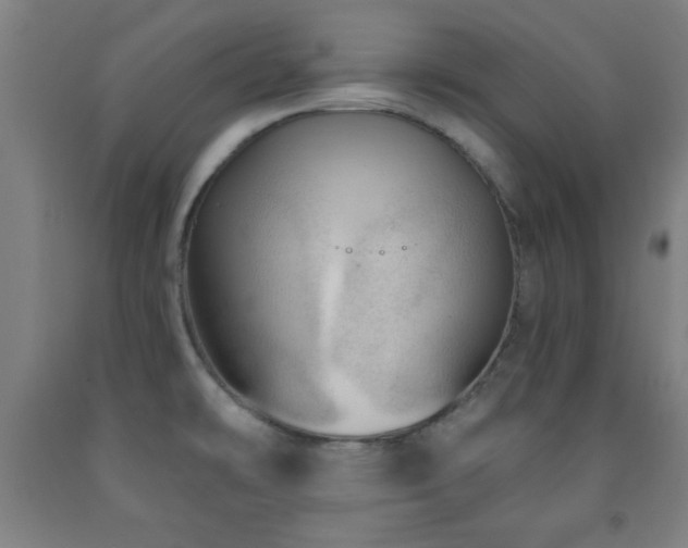 X0000093261478200709261721