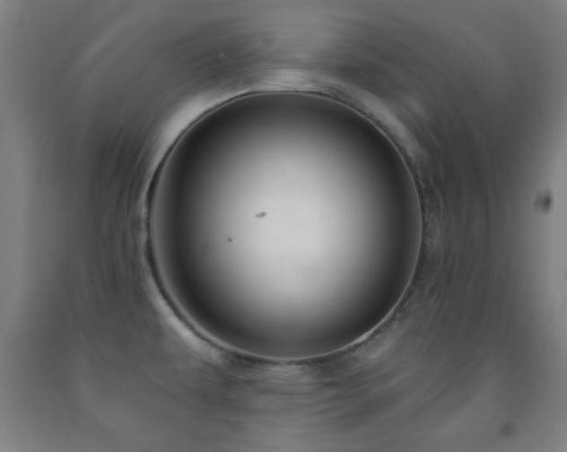 X0000093261479200709261721
