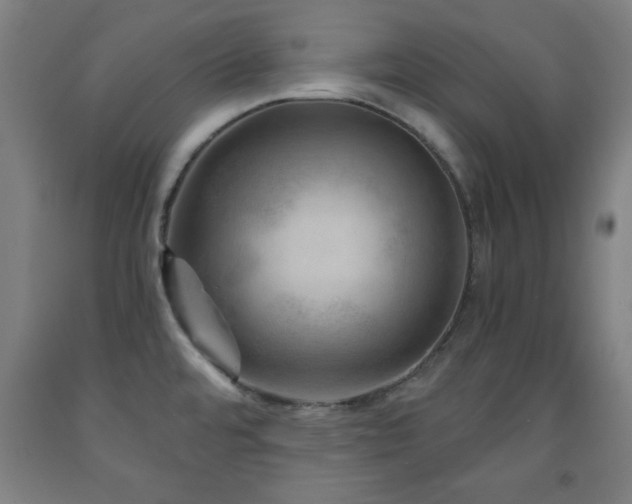 X0000093261480200709261721